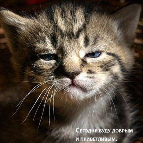 Руслан Александрович