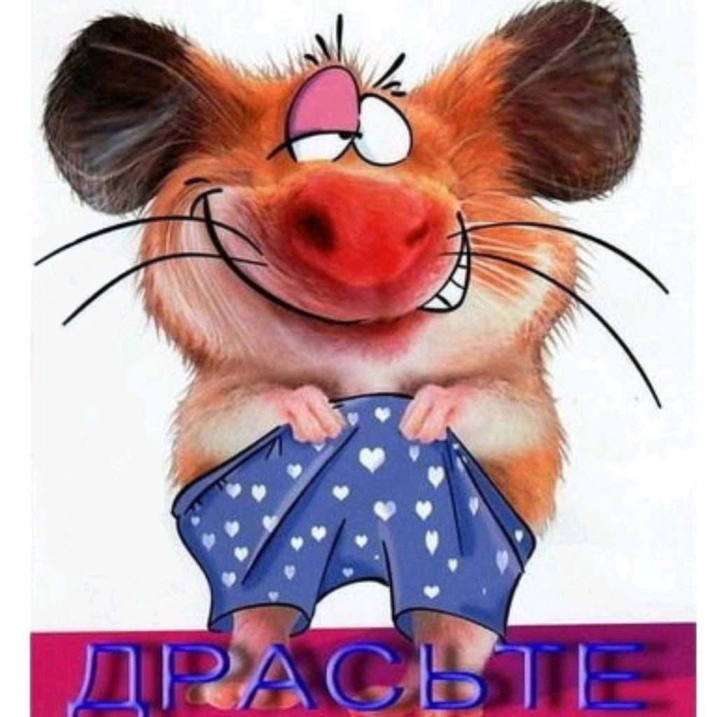 Серёга