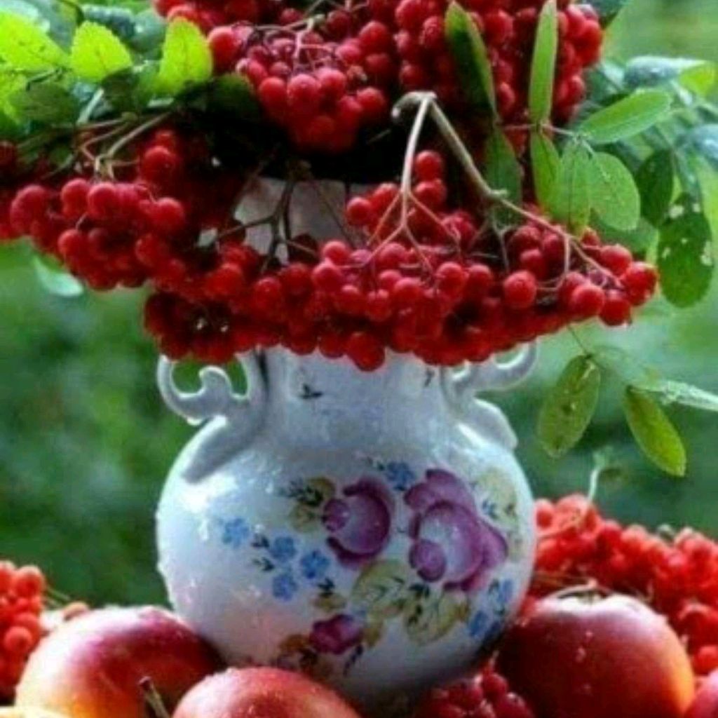 Анастасия Репникова