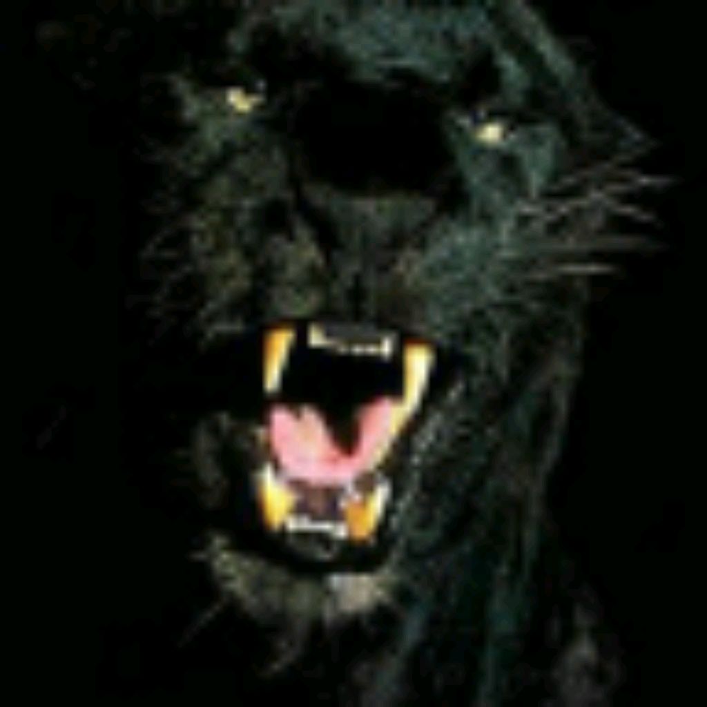 R.o.m.a.n.S.e.r.g.e.e.v.