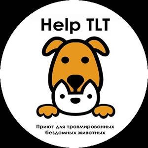 Приют «HELP TLT» г. Тольятти