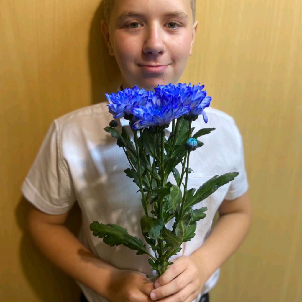 Грибков Даниил