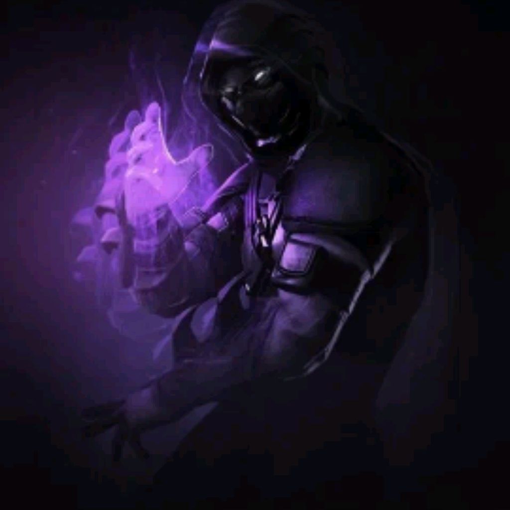 Zerti331