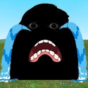 Munci SAD