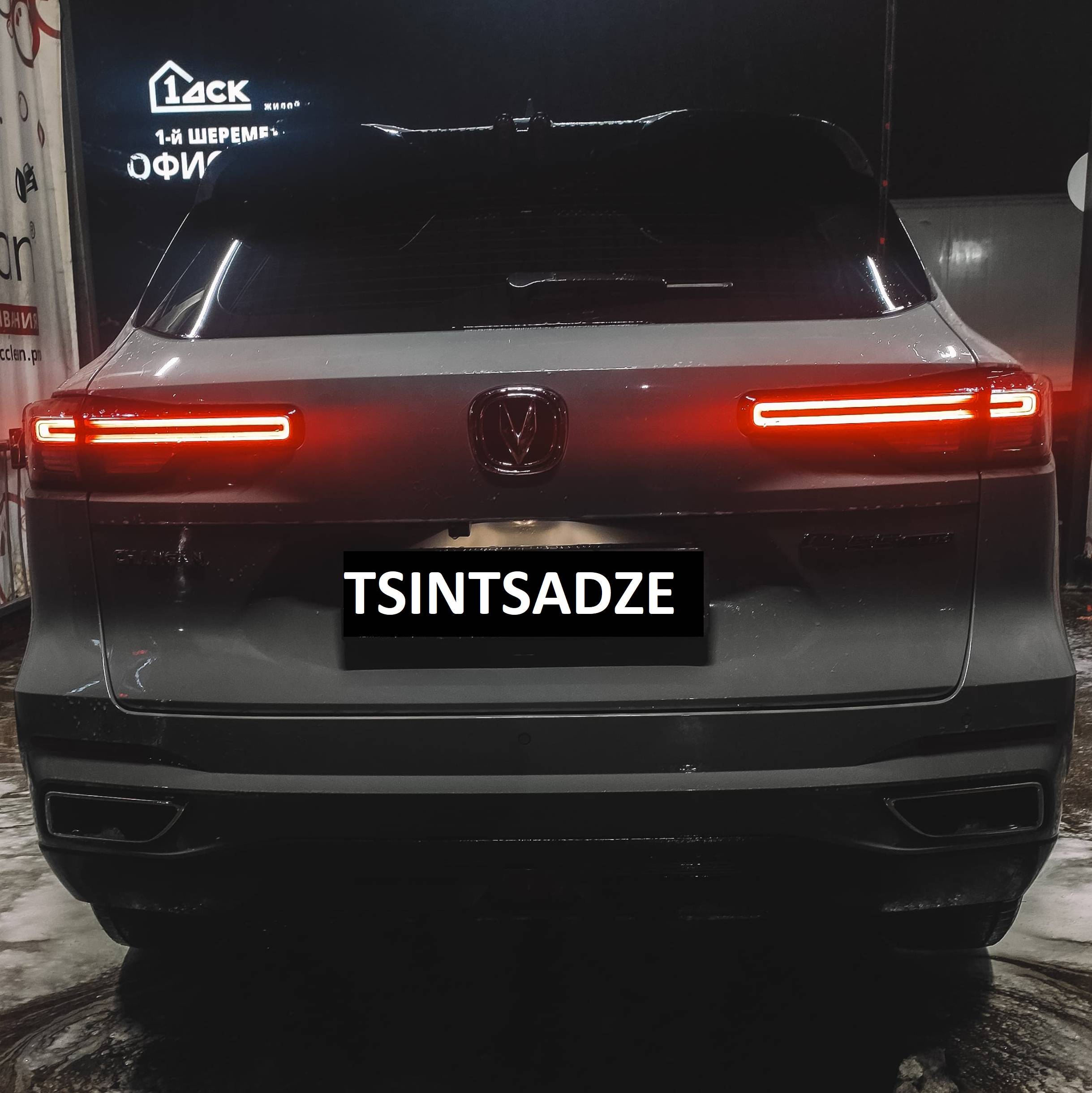 TSINTSADZE