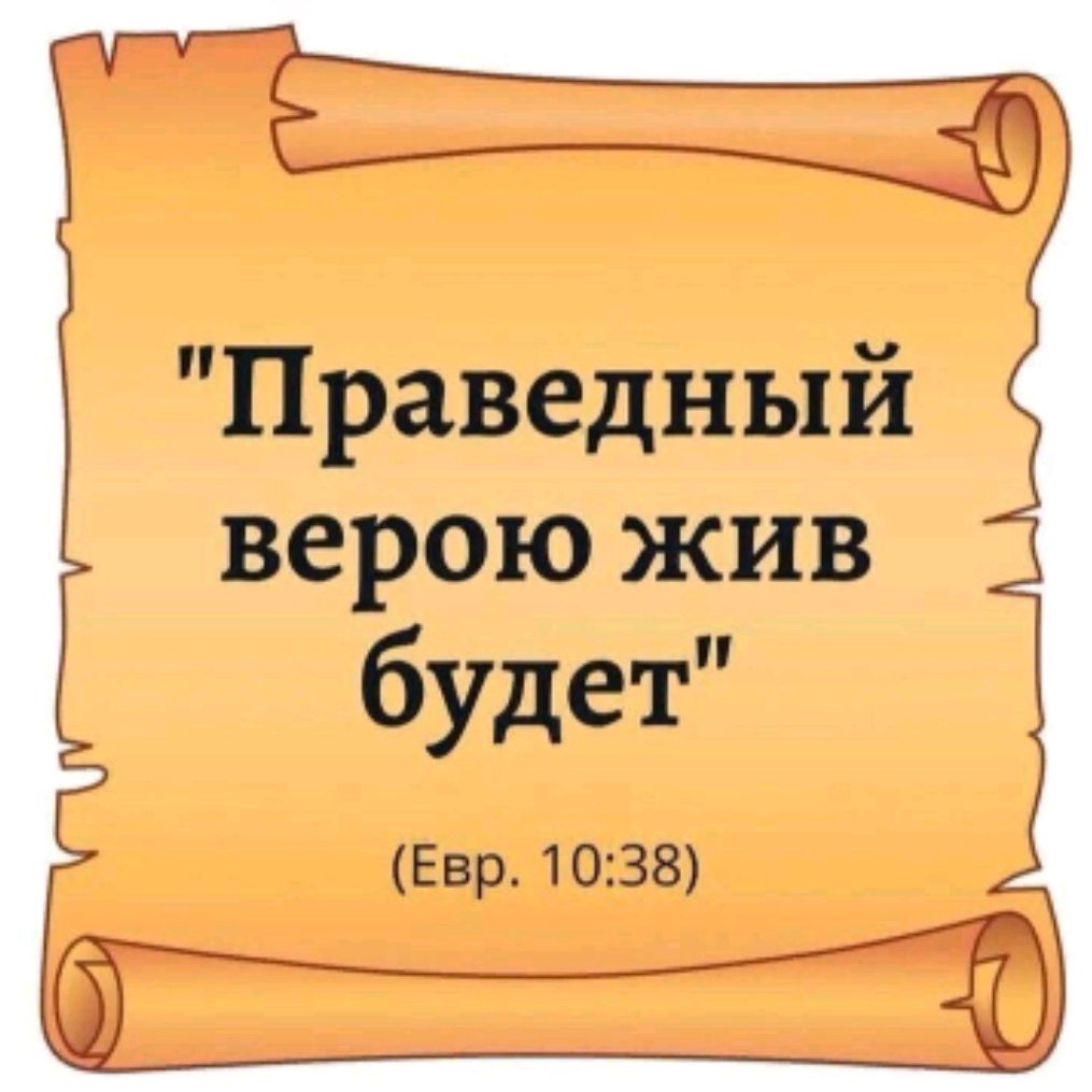 Nikolaevich163