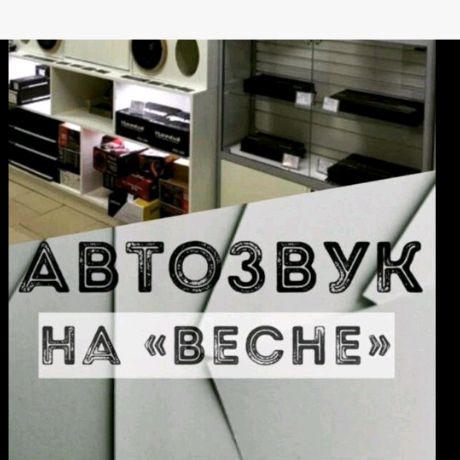 Autozvukvesna