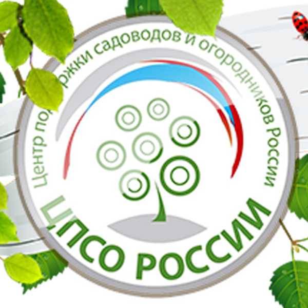 ЦПСО России
