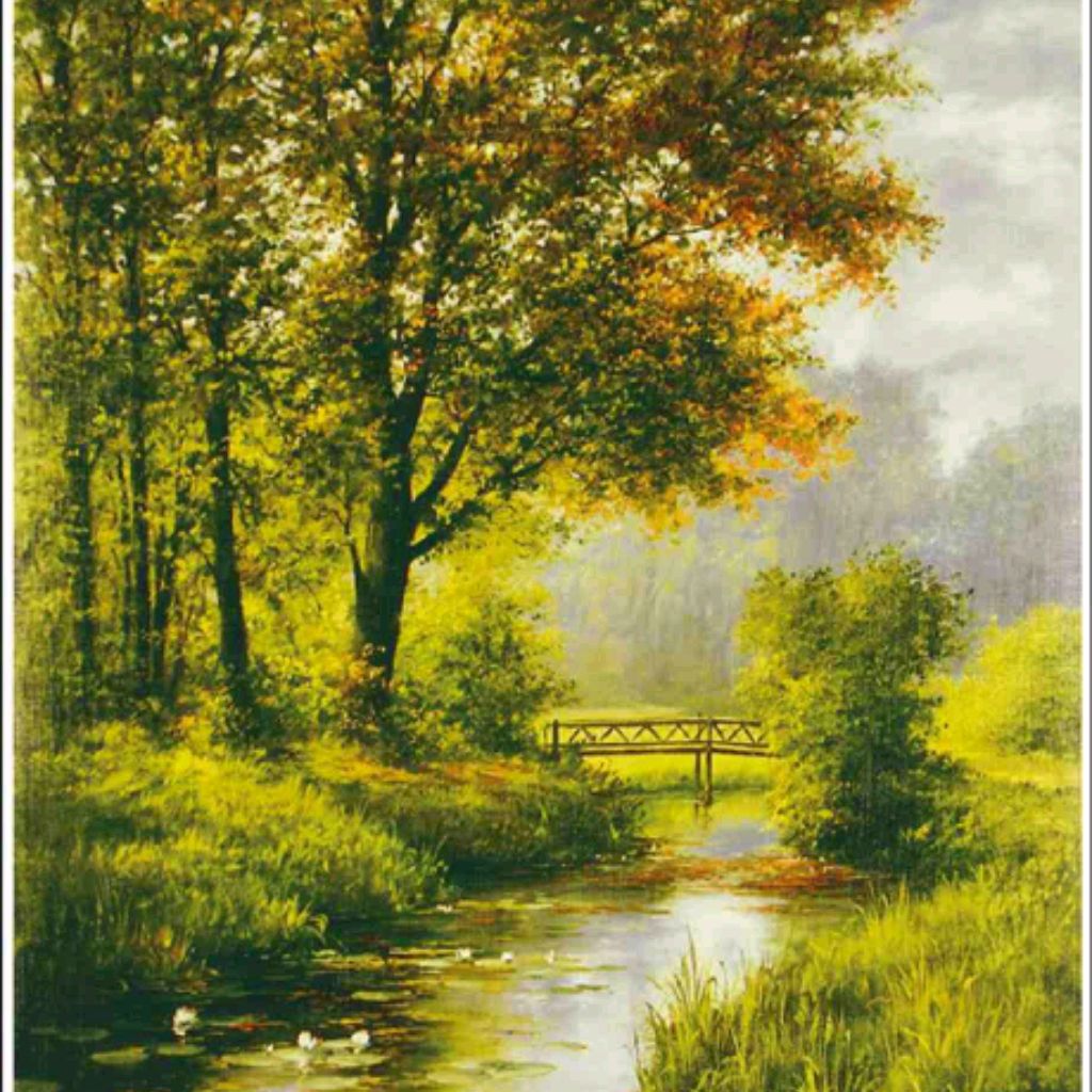 OlaNikola