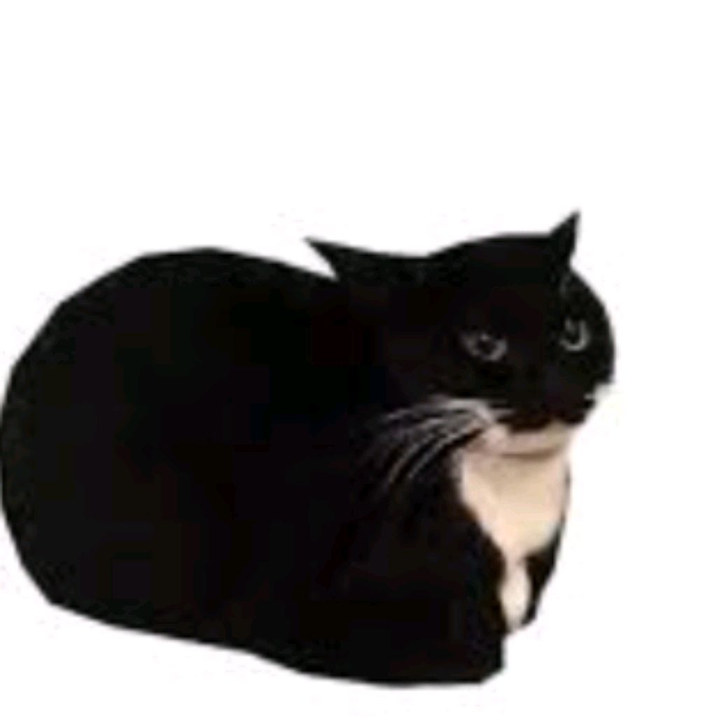 максевел