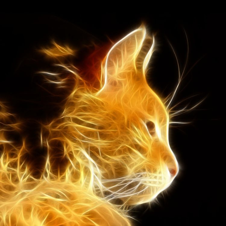 Firecat