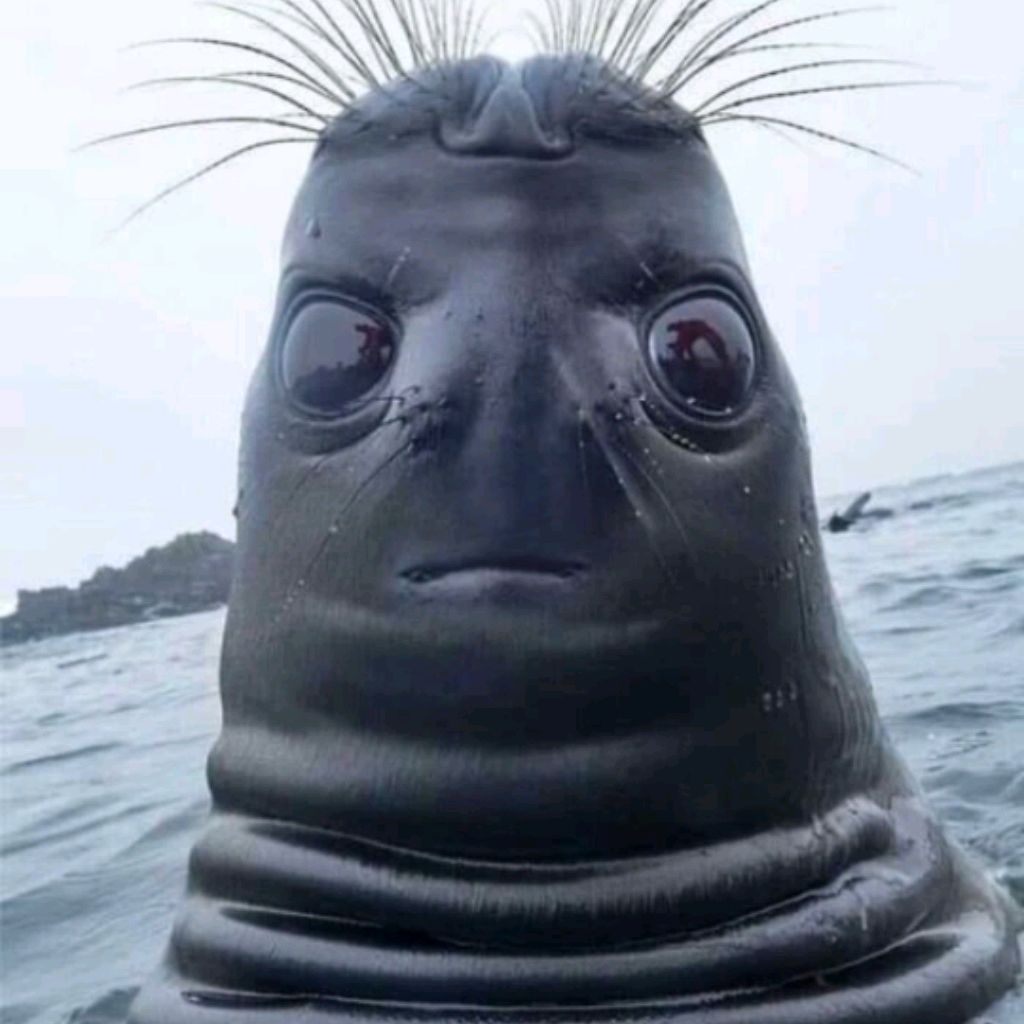 Нелепое утро