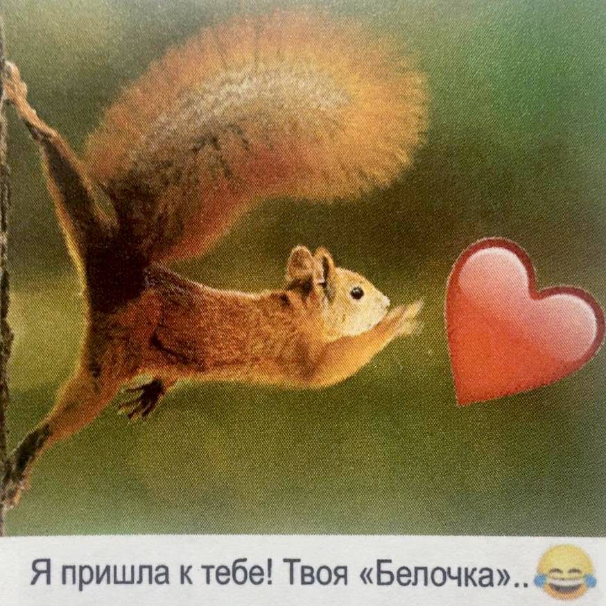 Mother Squirrel