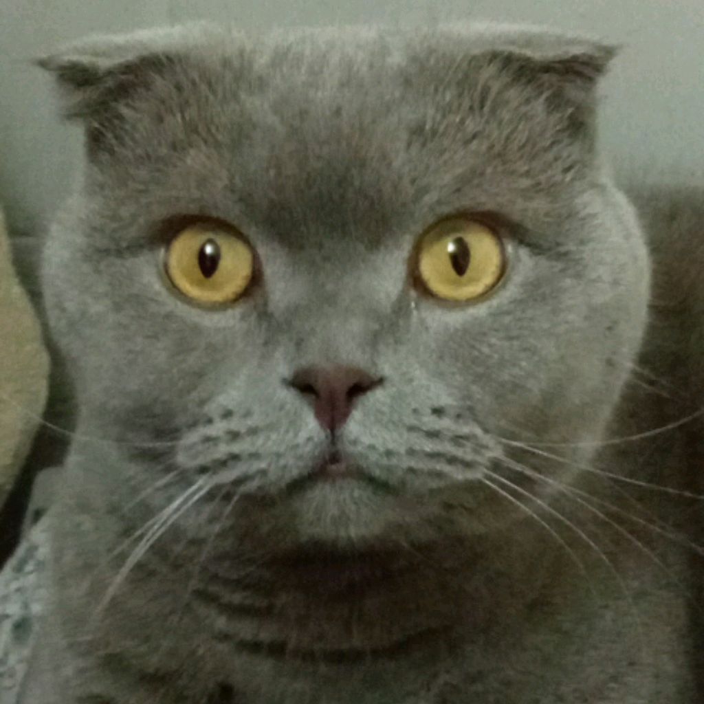 Кащей