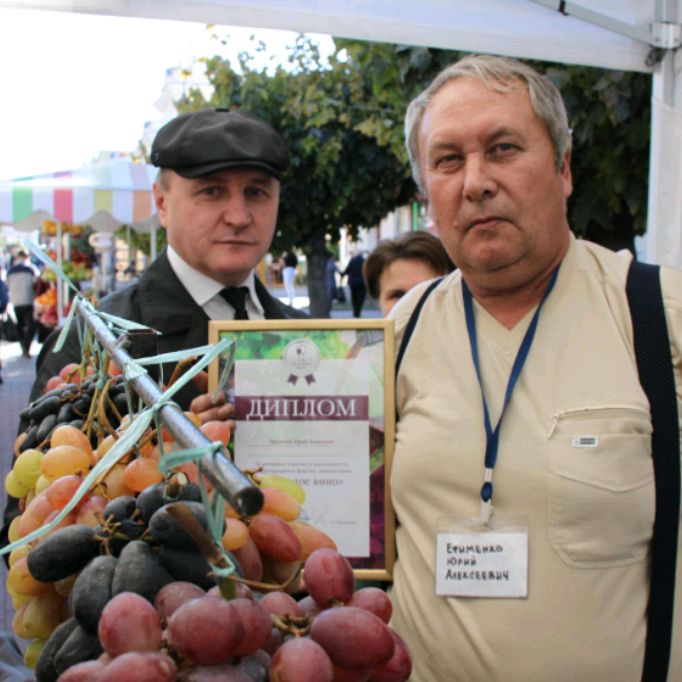 Виноградный питомник Юрия Ефименко