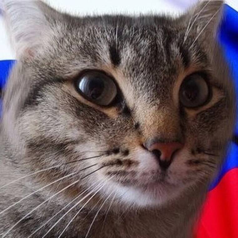 kirieshka channel