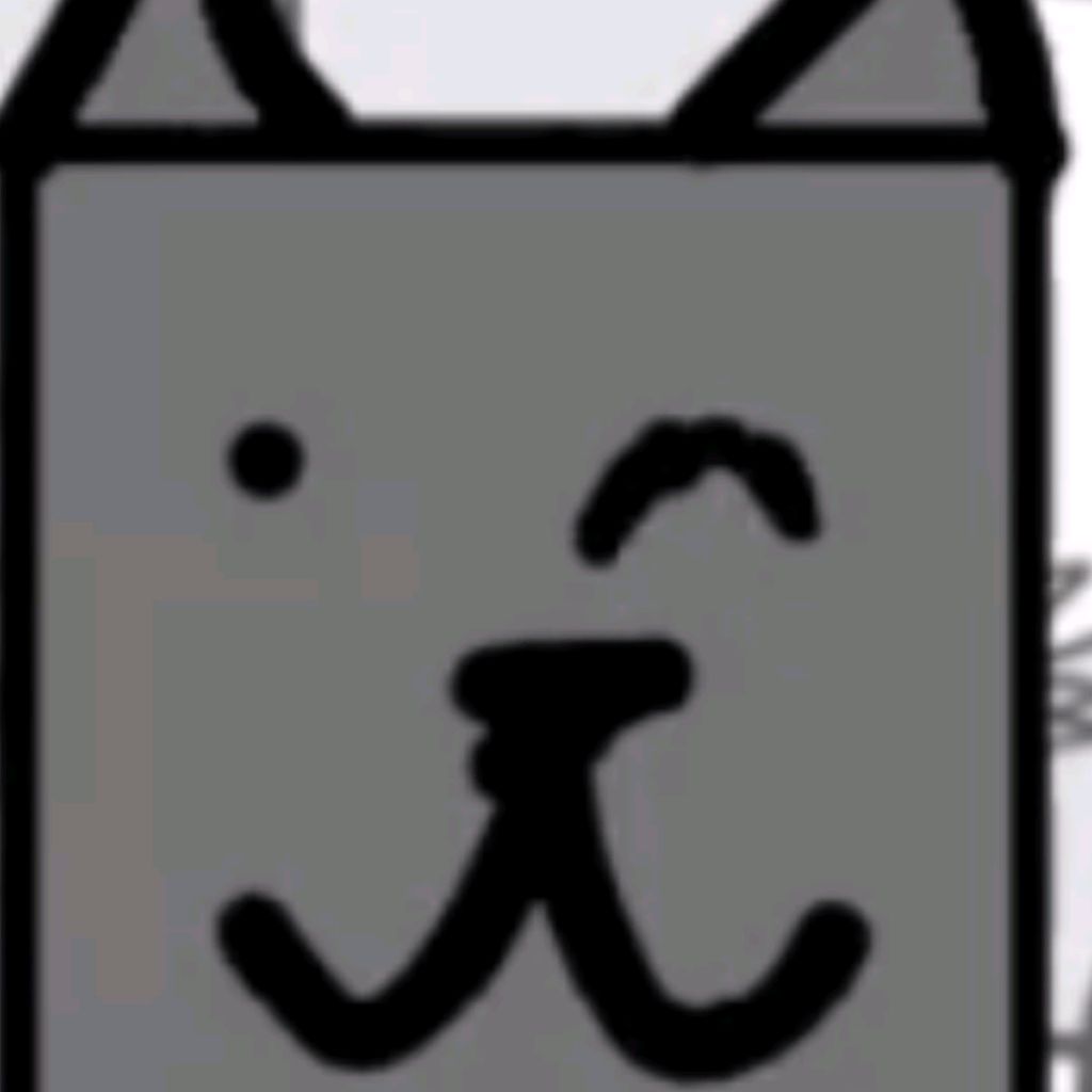 Grey cat