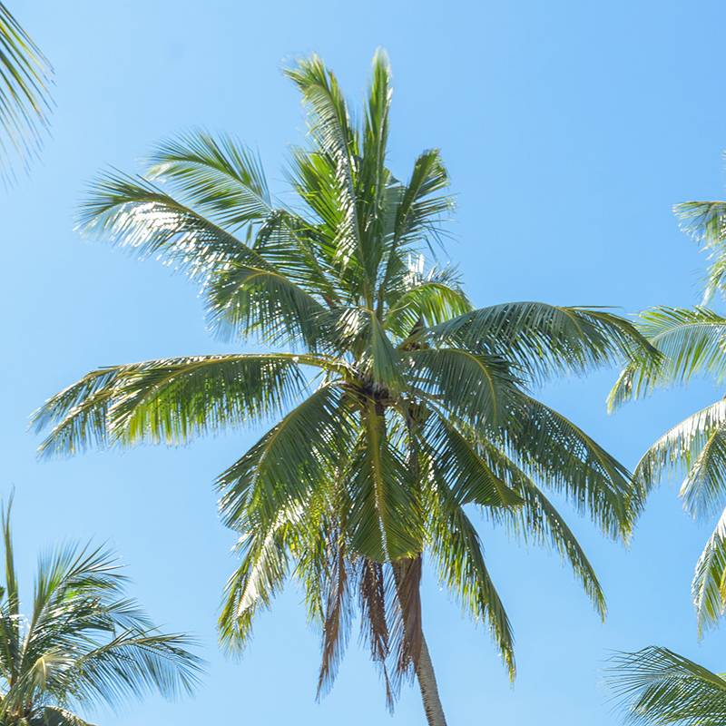 Relax Island