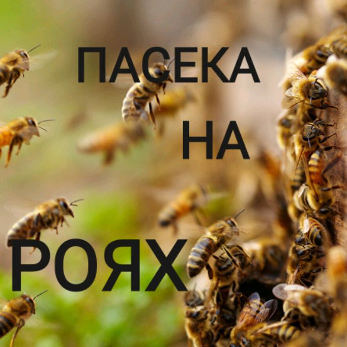 ПАСЕКА НА РОЯХ