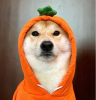 D P