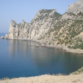 stepniakVS