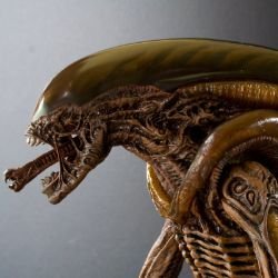 Xenomorph1984