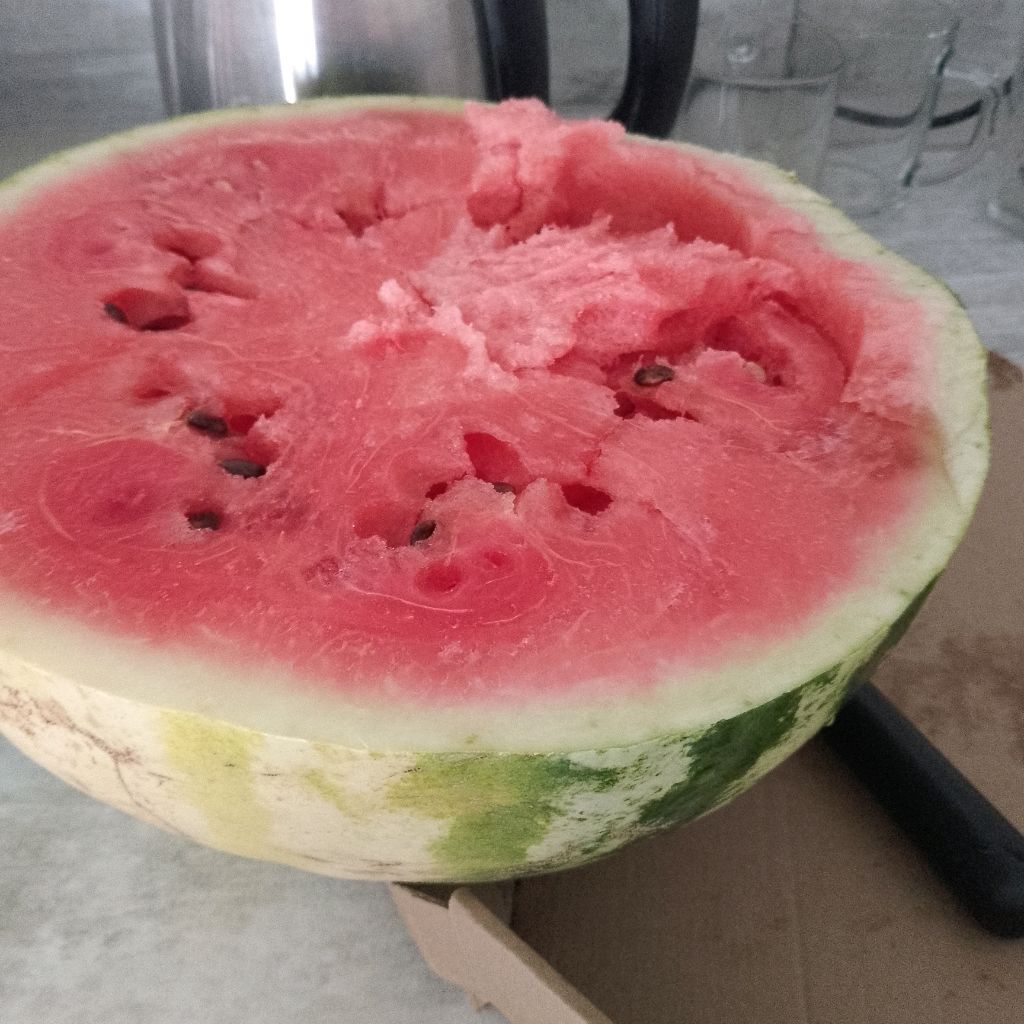 🍉Пузик_Арбузик🍉