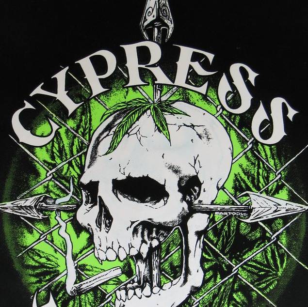 Cypress0208