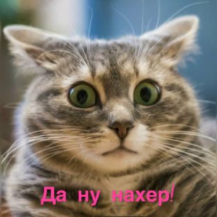 wladimir