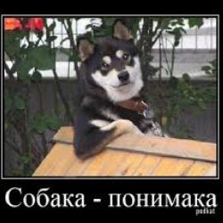Владимир Окшин