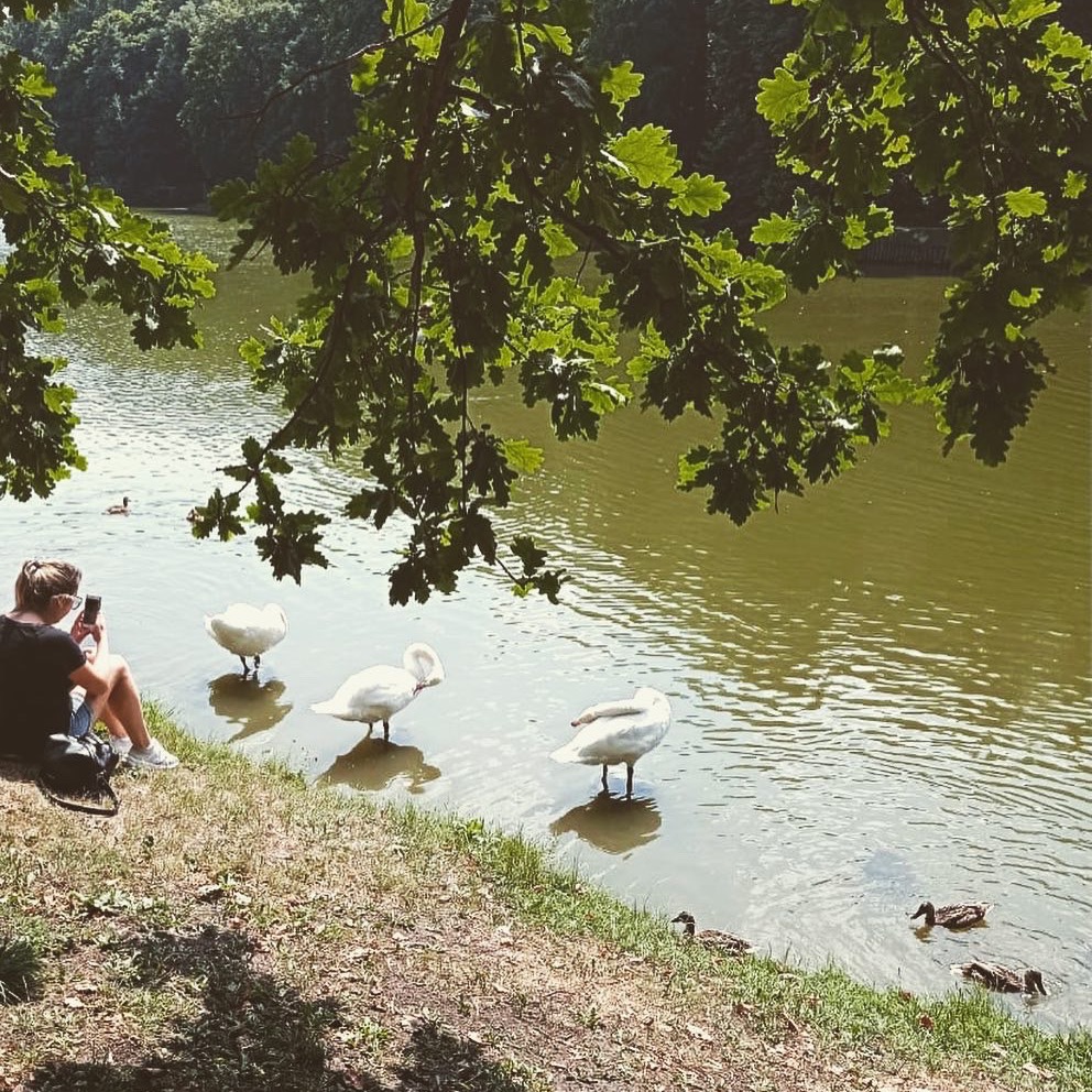 Катя