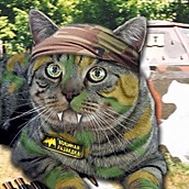 Krutov Vladimir (McMur)