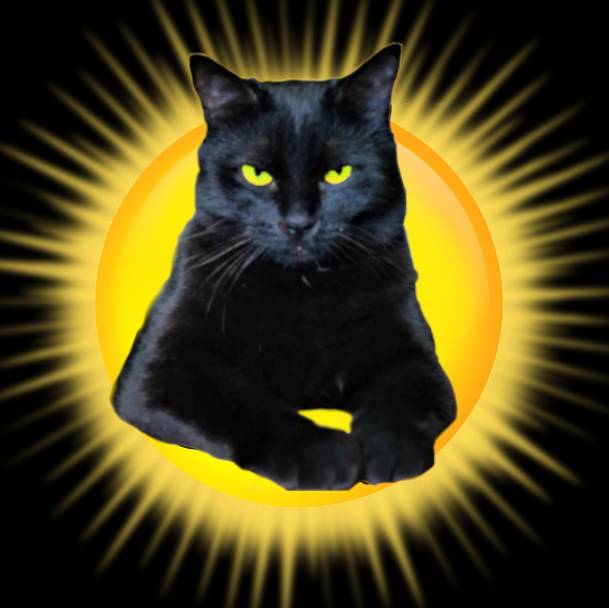 База Черных Котов