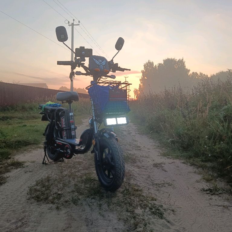 channel31750520