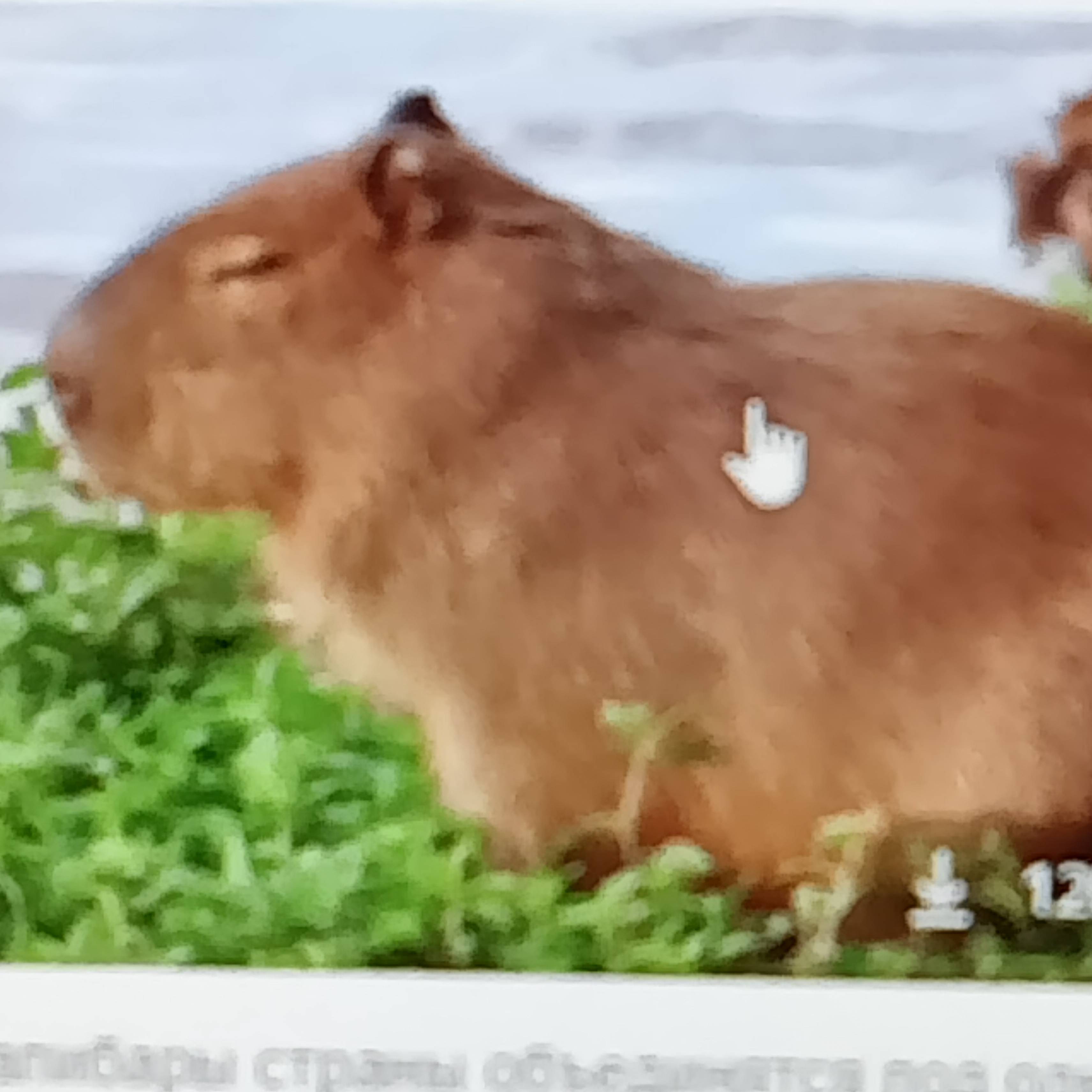 костик и павлик 🤓🤩