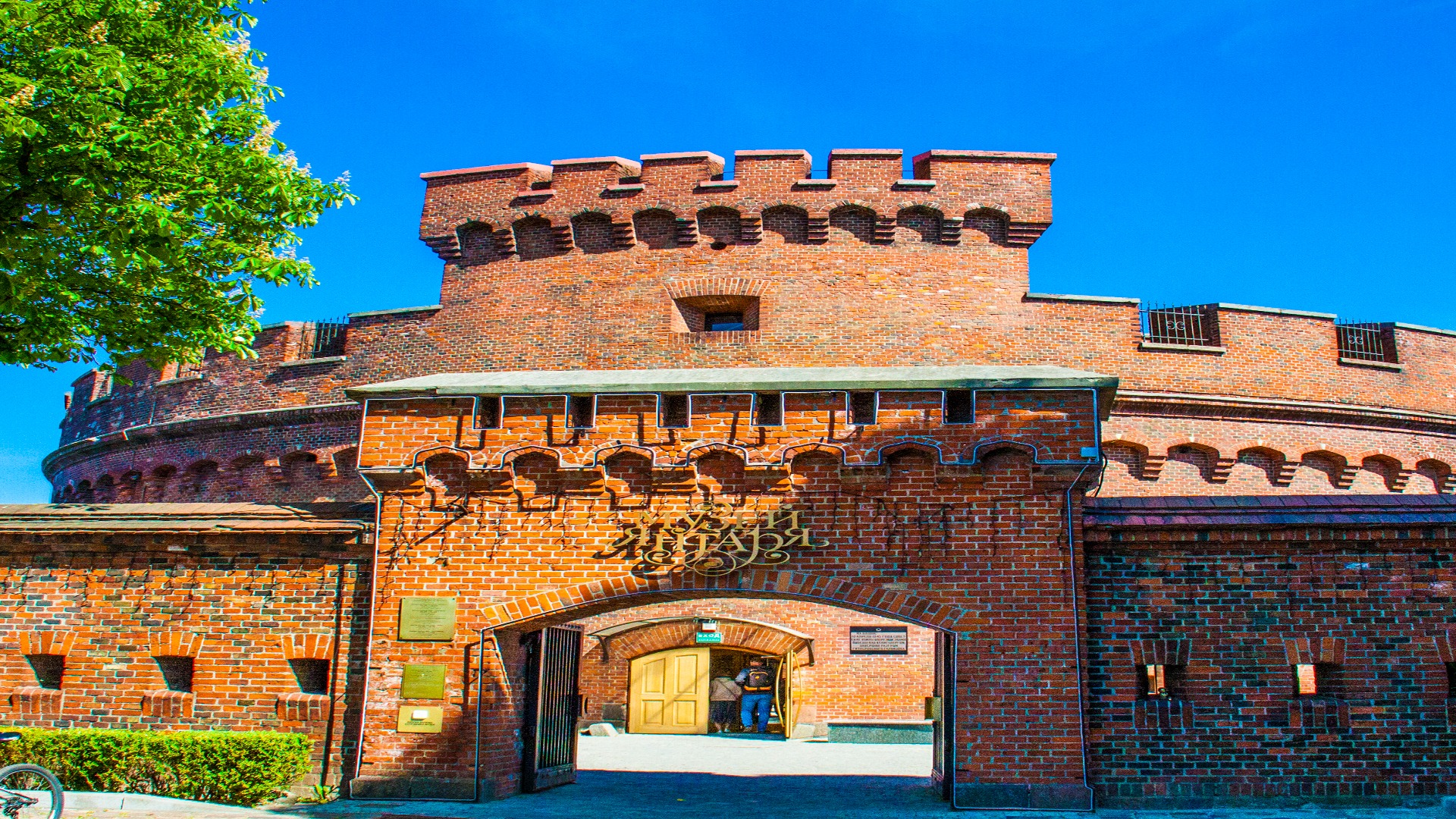 Янтарный край