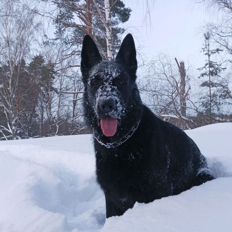 Лыткин Андрей