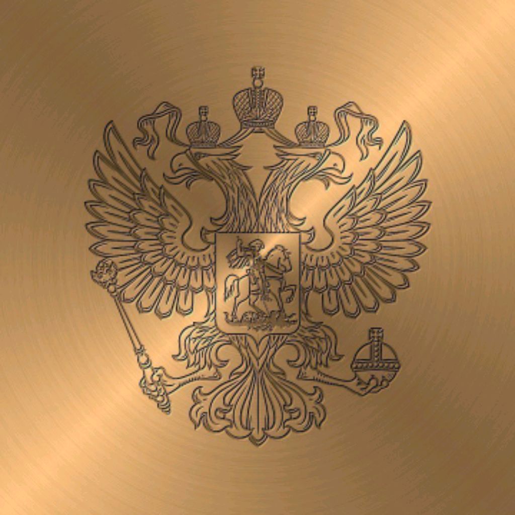 Fizryk43