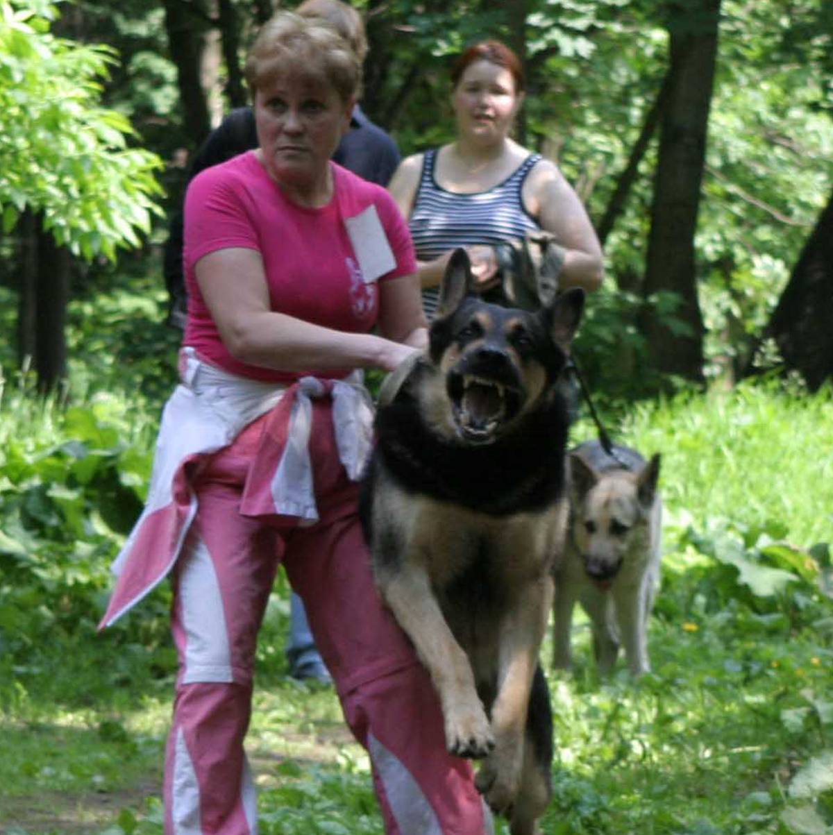 RedGal2012