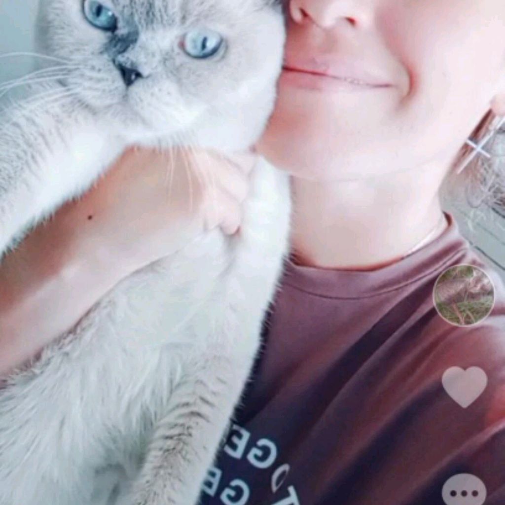 Svetlana