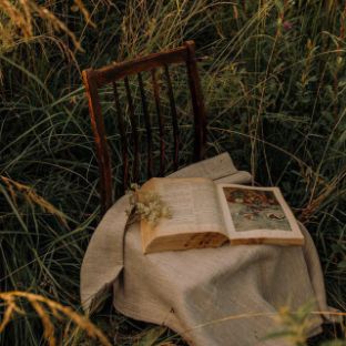 Книжный шкаф