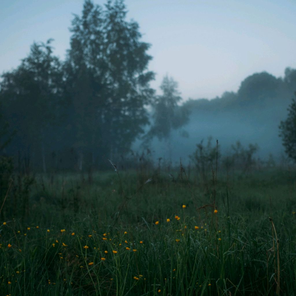 Артём Петросян
