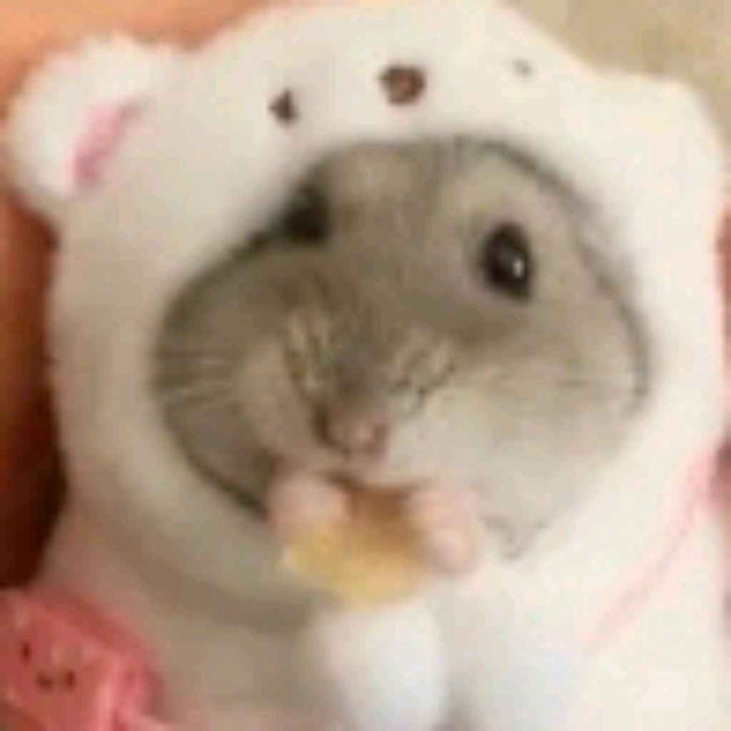 Hamster Edits