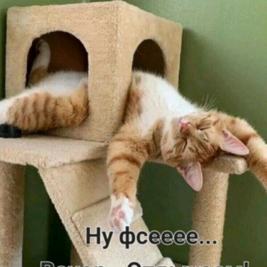 Ева Николаевна