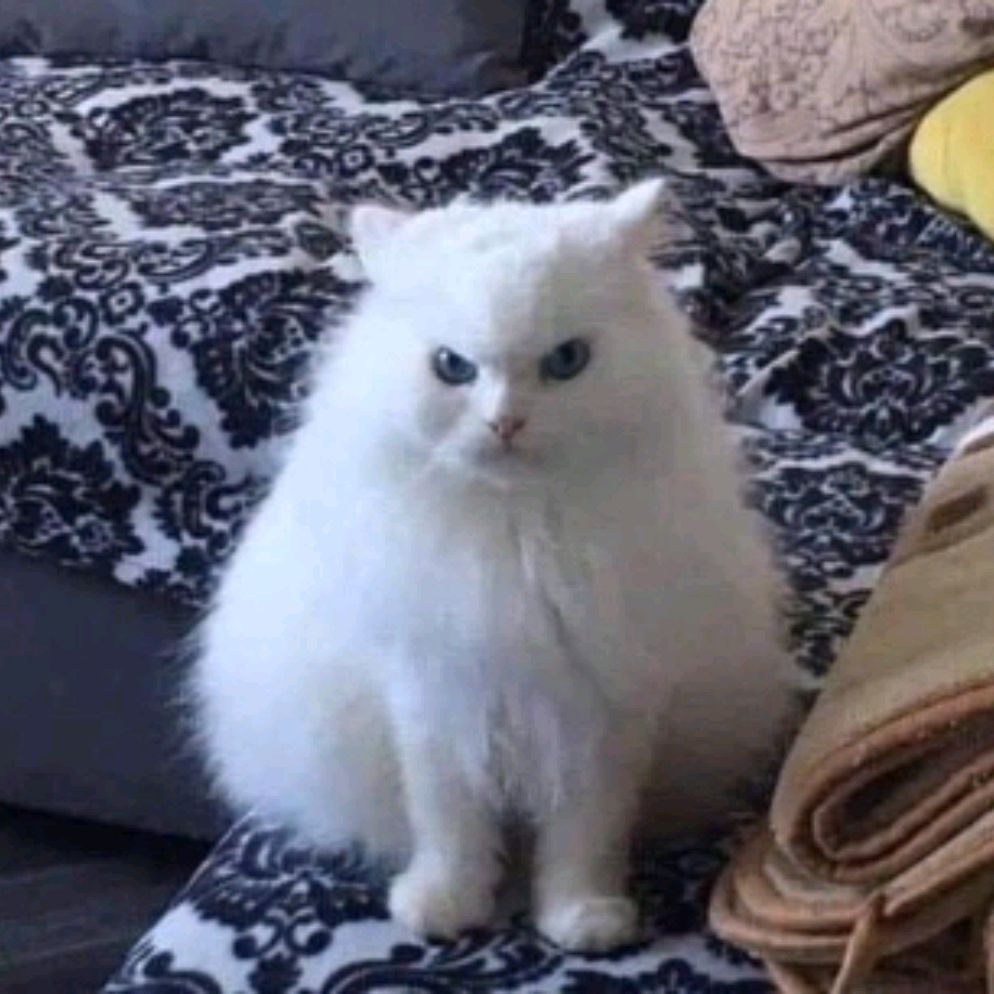 ....
