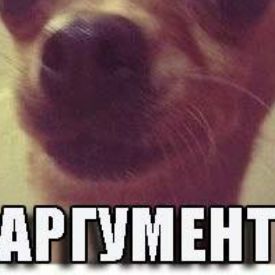 NerzhuL