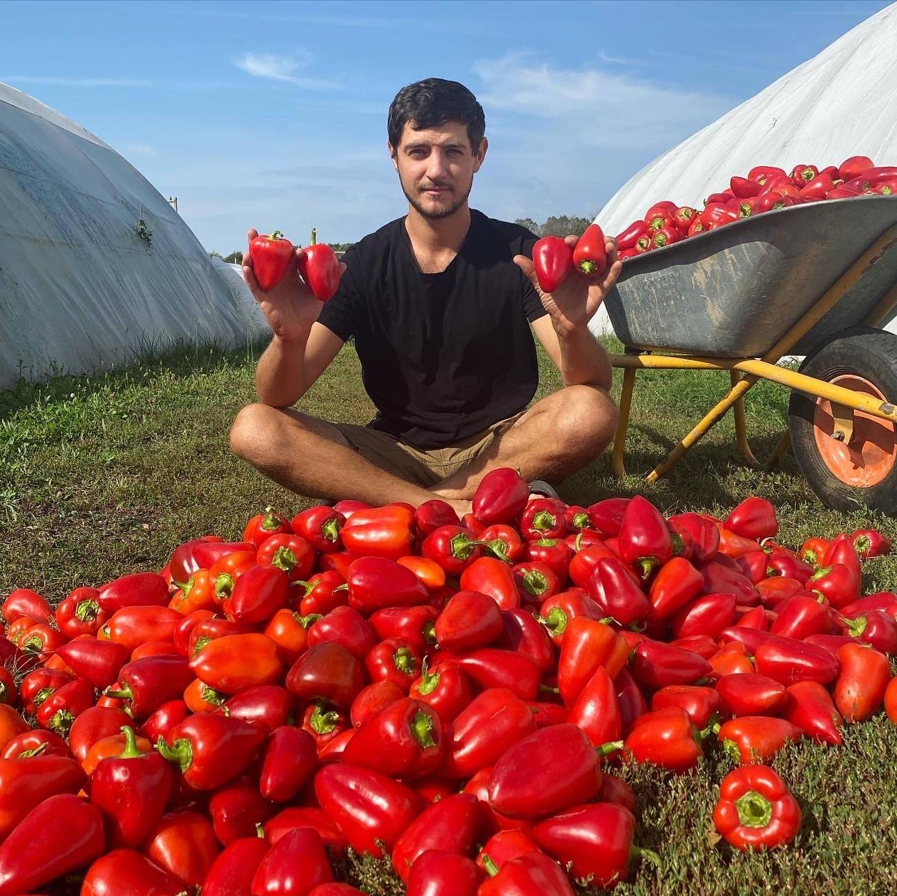 Тепличный бизнес в деревне!