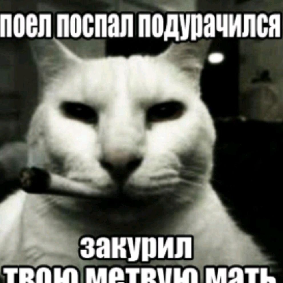 namu0