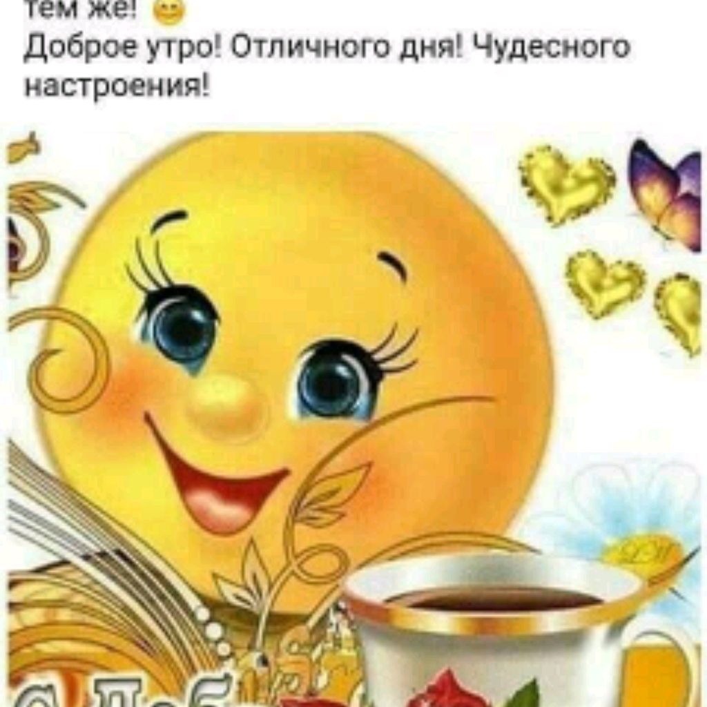 channel24902229