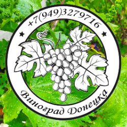 Виноград Донецка